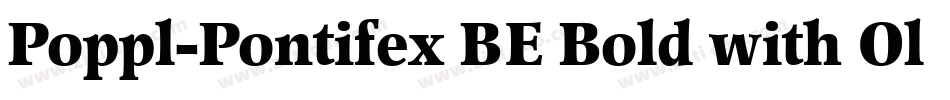 Poppl-Pontifex BE Bold with Oldstyle Figures字体转换
